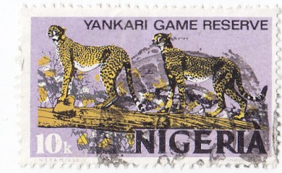 Nigerie 1973 kobo.jpg