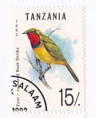 Tanzanie 1992 Shilling.jpg