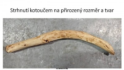 Snímek7.JPG